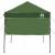 Cort cu Copertină Verde 200 x 200 cm Tafeta Oxford GartenMobel Dekor
