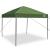 Cort cu Copertină Verde 250 x 250 x 227 / 236 / 245 cm GartenMobel Dekor