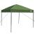 Cort cu Copertină Verde 250 x 250 x 227 / 236 / 245 cm GartenMobel Dekor