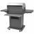 Grătar de Barbecue pe Gaz Argintiu 132 x 61 x 118 cm GartenMobel Dekor
