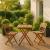 Set mobilier balcon sau terasa din lemn de fag, pliabil, masa 52x51x65 cm si 2 scaune, maro Household NewTrend