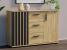 Comoda Montana 120 cu 2 usi si 3 sertare, 120x37x80 cm, craft si negru Household NewTrend