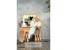 Masa de toaleta si machiaj cu oglinda LED si 7 sertare, 120x43x140 cm, craft Household NewTrend