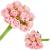 Buchet de flori artificiale din poliester, 12 fire trandafiri, 26cm, roz Household NewTrend