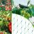 Plasa anti pasari 4x5m din polietilena, verde Household NewTrend