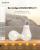 Bec Smart LED RGB, BlitzWolf BW-LT21, 10 W, Bulb, 900 LM, 3000K, E27, Comanda vocala SmartElectro IntelligentHouse