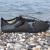 Pantofi plaja si apa, talpa cauciuc antiderapanta, material respirabil, negru, marimea 42 Household NewTrend