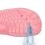 Pantofi plaja si apa, talpa cauciuc antiderapanta, material respirabil, roz, marimea 36 Household NewTrend