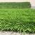 Covor Iarba Artificiala, Tip Gazon, Verde, 30 mm, 10 mp, 200×500 cm Household NewTrend