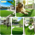 Covor Iarba Artificiala, Tip Gazon, Verde, 30 mm, 10 mp, 200×500 cm Household NewTrend