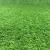 Covor Iarba Artificiala, Tip Gazon, Verde, 20 mm, 10 mp, 200×500 cm Household NewTrend