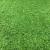 Covor Iarba Artificiala, Tip Gazon, Verde, 20 mm, 10 mp, 200×500 cm Household NewTrend