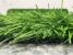 Covor Iarba Artificiala, Tip Gazon, Verde, 30 mm, 5 mp, 100×500 cm Household NewTrend