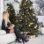 Brad artificial Christmas Deluxe by Sersimo, Caucazian Premium, 2D, 220cm Household NewTrend