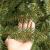 Brad artificial Christmas Deluxe by Sersimo, Caucazian Premium, 2D, 220cm Household NewTrend