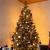 Brad artificial Christmas Deluxe by Sersimo, Caucazian Premium, 2D, 220cm Household NewTrend