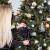 Brad artificial Christmas Deluxe by Sersimo, Caucazian Premium, 2D, 220cm Household NewTrend