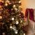 Brad artificial Christmas Deluxe by Sersimo, Caucazian Premium, 2D, 220cm Household NewTrend