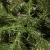 Brad artificial Christmas Deluxe by Sersimo, Caucazian Premium, 2D, 220cm Household NewTrend