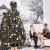 Brad artificial Christmas Deluxe by Sersimo, Caucazian Premium, 2D, 220cm Household NewTrend