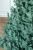 Brad artificial Christmas Deluxe by Sersimo, Viena Select argintiu, integral 3D, 210cm Household NewTrend