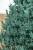 Brad artificial Christmas Deluxe by Sersimo, Viena Select argintiu, integral 3D, 210cm Household NewTrend