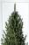Brad artificial Christmas Deluxe by Sersimo, Viena Select, integral 3D, 210cm Household NewTrend