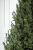 Brad artificial Christmas Deluxe by Sersimo, Viena Select, integral 3D, 210cm Household NewTrend