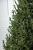 Brad artificial Christmas Deluxe by Sersimo, Viena Select, integral 3D, 210cm Household NewTrend