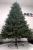 Brad artificial Christmas Deluxe by Sersimo, Alpin Select, integral 3D, 230cm Household NewTrend