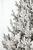 Brad artificial Christmas Deluxe by Sersimo, Viena Select nins, integral 3D, 210cm Household NewTrend