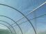 Sera de gradina, tip tunel cu cadru metalic, 300x800cm, verde, 24mp Household NewTrend