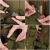 Rucsac militar pentru drumetie, impermeabil, ultra usor, 4 compartimente, culoare camo Household NewTrend