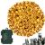 Instalatie lumini de exterior pentru gradina, 5 metri, 50 LED-uri, cu baterii, galben Household NewTrend