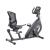 Bicicleta Recumbent inSPORTline Greod FitLine Training