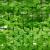 Gard viu artificial Micul Fermier, 1.5x3m, frunze G01 FarmGarden AgroTrade