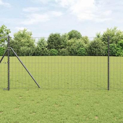 Gard Euro Gri 1 x 25 m Fier acoperit cu PVC GartenMobel Dekor
