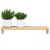 Raft Suspendat pe Perete Bej 62 x 10 x 12.5 cm GartenMobel Dekor