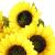 Buchet de flori artificiale din poliester, 2 fire de floarea soarelui, 57cm Household NewTrend