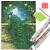 Set de broderie cu diamante 5D, 30x40cm, model Paun Household NewTrend