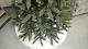 Brad artificial Christmas Deluxe by Sersimo, Victoria verde, 2D, 200cm Household NewTrend