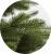 Brad artificial Christmas Deluxe by Sersimo, Nature, 2D+3D, 230cm Household NewTrend