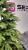 Brad artificial Christmas Deluxe by Sersimo, Nature, 2D+3D, 230cm Household NewTrend