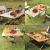 Masa pentru camping cu sistem de pliere rapida, cadru metalic otel, 118x60x45cm, maro Household NewTrend