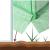 Sera de gradina, tip tunel cu cadru metalic, 200x300cm, 6 ferestre, verde, 6 mp Household NewTrend