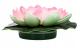 Lampa solara LED de gradina, plutitoare pe apa, floare de nufar roz, 18x18x6cm Household NewTrend