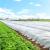 Folie agrotextil, mulcire, antiburuieni, filtru UV, 50 x 1.6metri, 70g/m2, alb Household NewTrend