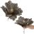 Set 5 ornamente pentru bradul de Craciun, stea Poinsettia, 23cm, gri auriu Household NewTrend