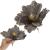 Set 5 ornamente pentru bradul de Craciun, stea Poinsettia, 23cm, gri auriu Household NewTrend