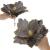Set 5 ornamente pentru bradul de Craciun, stea Poinsettia, 23cm, gri auriu Household NewTrend